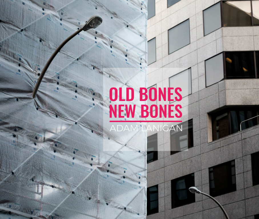 Link to Old Bones New Bones on the Blurb bookstore